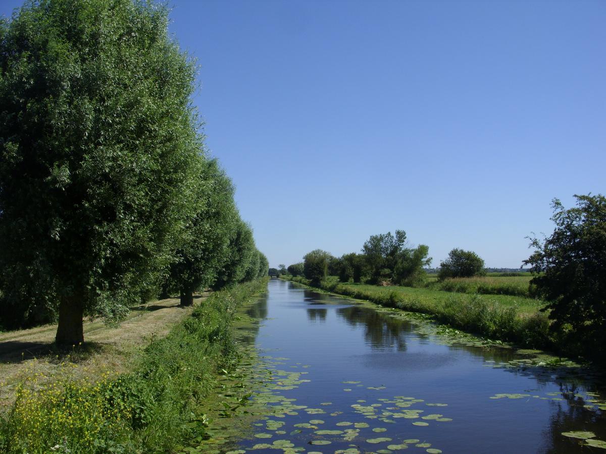 Gite A La Ferme Entre Terre Et Mer Hérenguerville Buitenkant foto